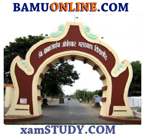 BAMU University Papers